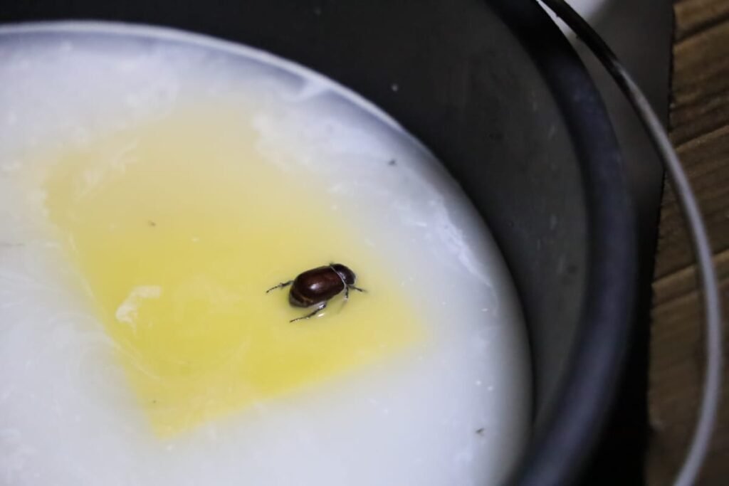 A FPI do São Francisco fechou em Girau do Ponciano (AL) um laticínio clandestino que fabricava queijos dentro de uma betoneira, em meio a condições insalubres. Foram apreendidos 40 quilos do produto, totalizando 980 quilos de queijo impróprio retirados de circulação nesta etapa. O local não tinha licença, usava substâncias proibidas e causava danos ambientais, oferecendo risco à saúde e concorrência desleal.